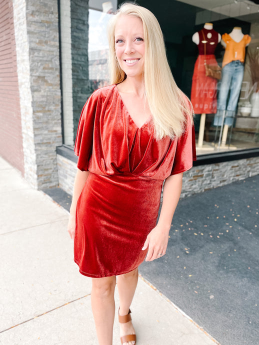 Lainey Velvet Dress